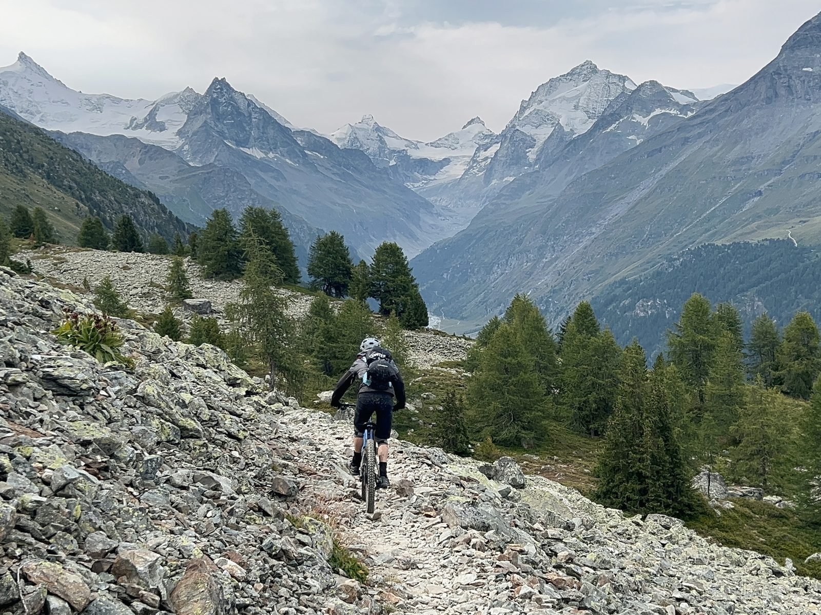 Ein Biker auf einem alpinen Trail zwischen Lärchen, vor den Walliser Gipfeln, Bike-Saison 2027 mit Exoride