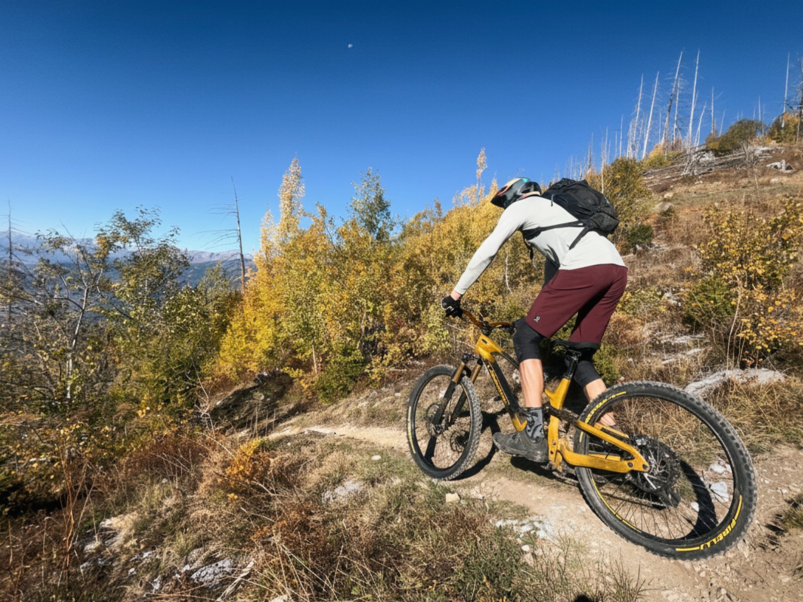 Ein Biker zwischen goldenen Lärchen im Walliser Herbst, Bike-Saison 2027 mit Exoride