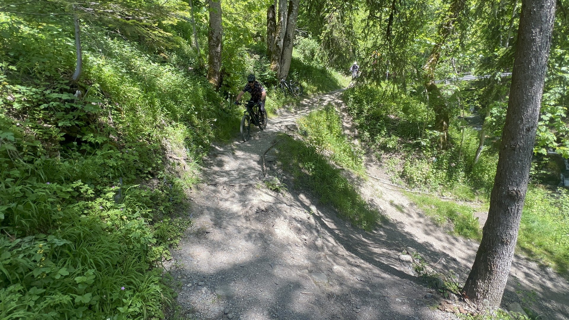MTB coaching with a professional instructor in Switzerland