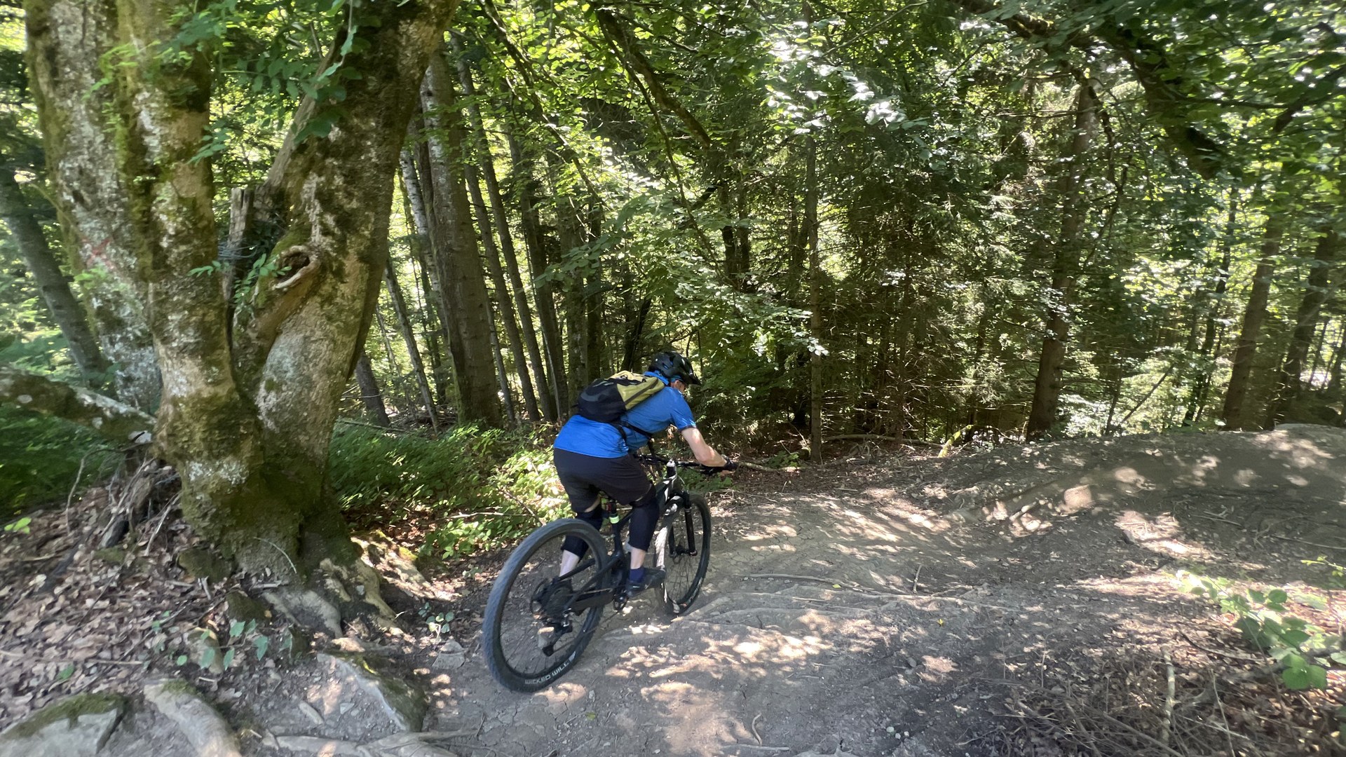 MTB coaching with a professional instructor in Switzerland