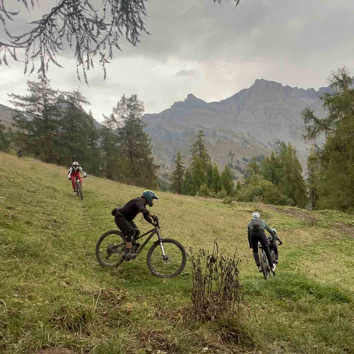 2512-best-trails-in-valais-with-guide-and-shuttle-11