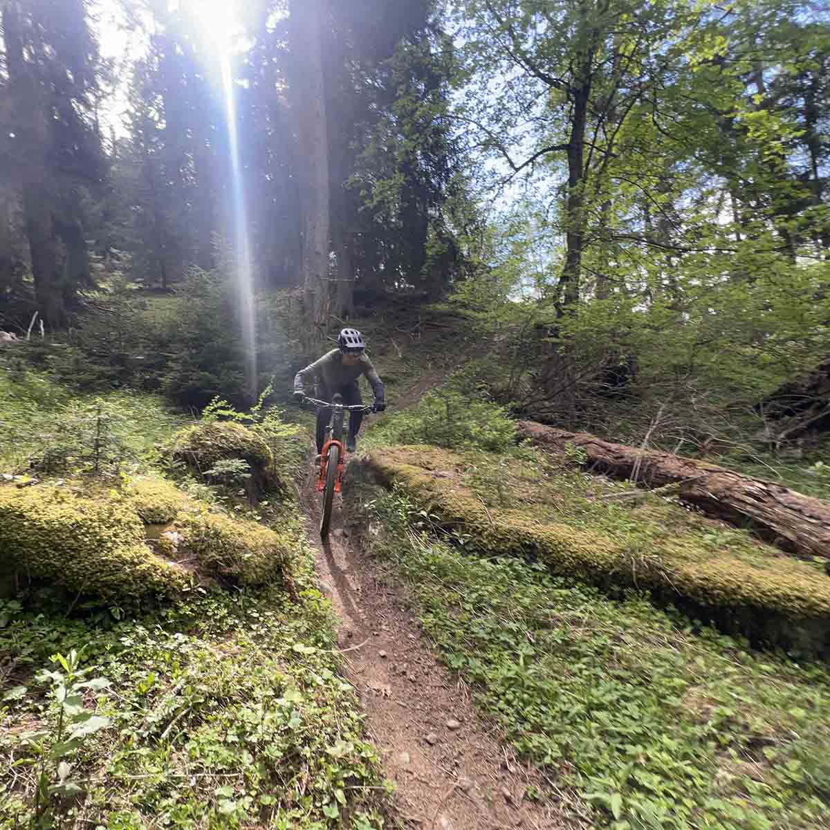 2512-best-trails-in-valais-with-guide-and-shuttle