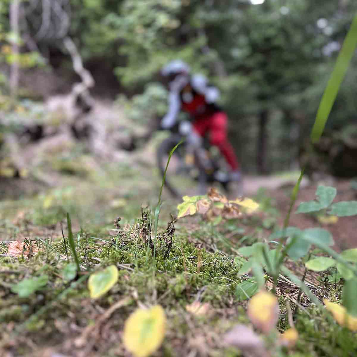 2512-mountainbike-trails-verbier-region-ovronnaz