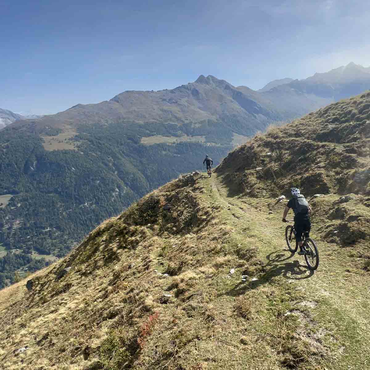 2512-mtb-taxi-valais-with-a-guide
