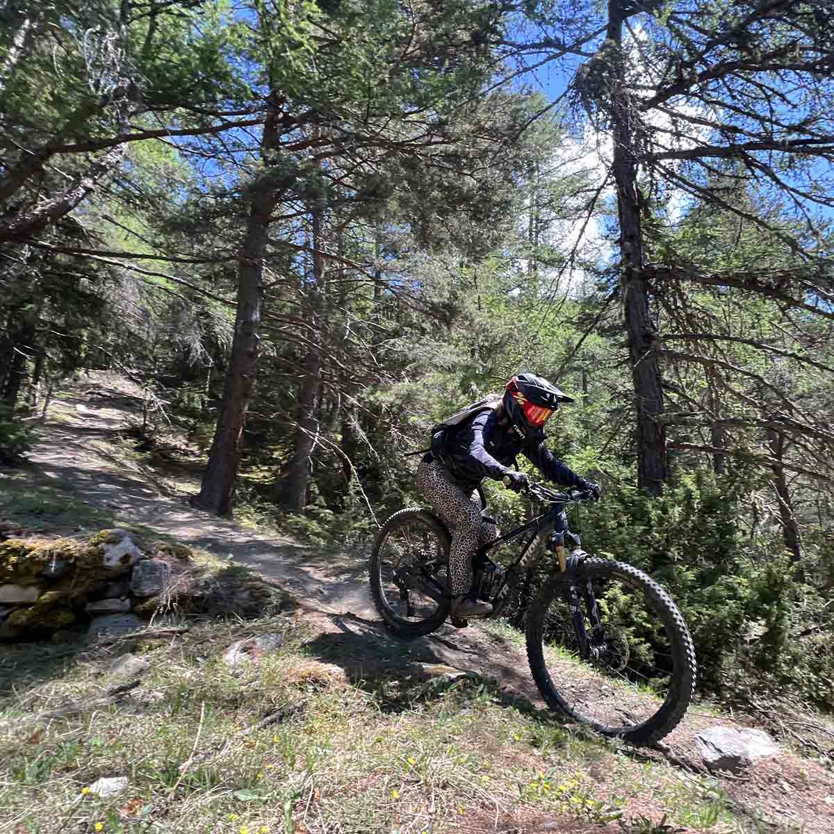 exoride-shuttles-swiss-alps