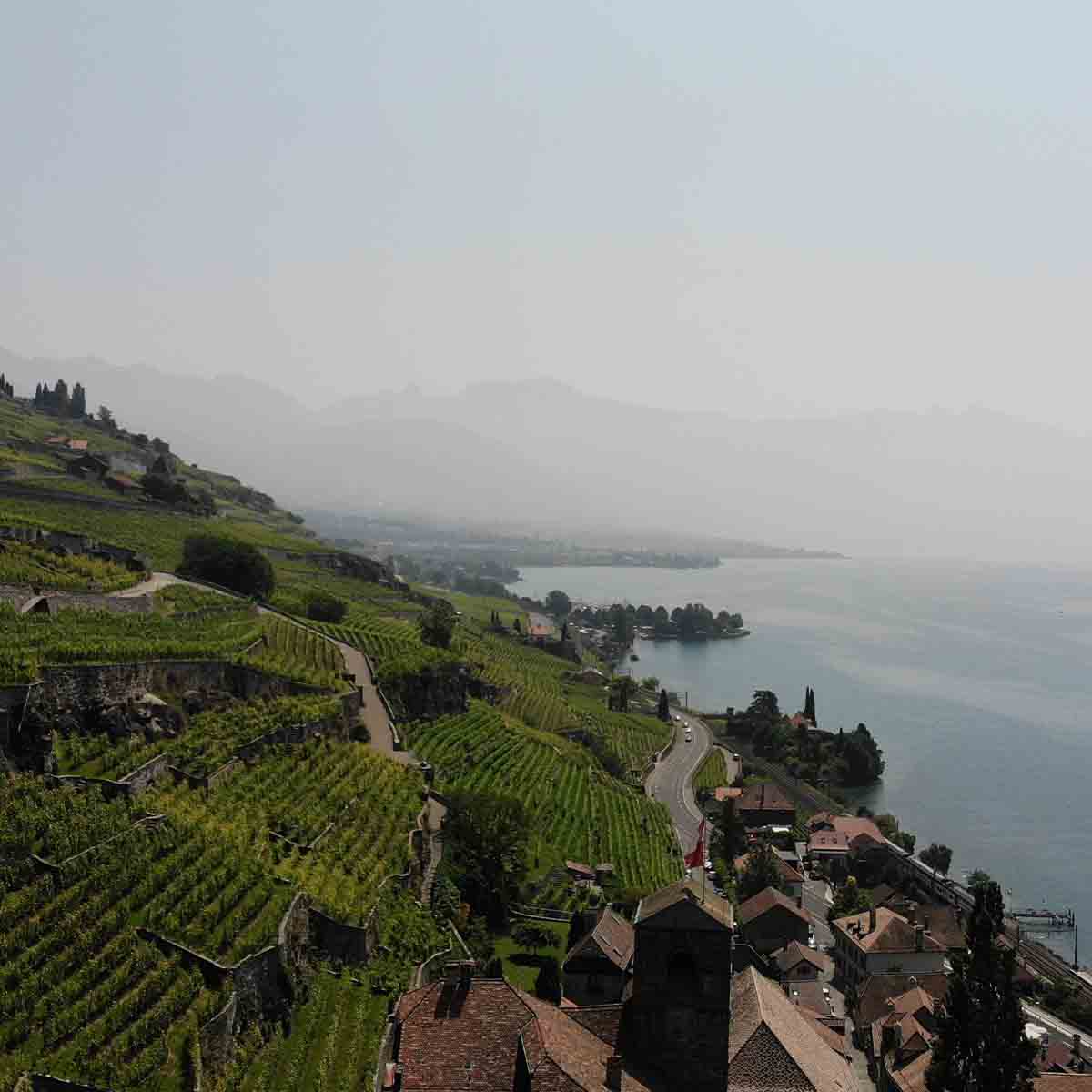 2606-teambuilding-velo-electrique-lavaux-lausanne-montreux
