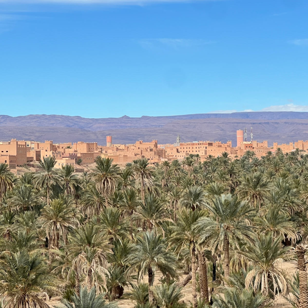 2608-visite-ebike-palemeraie-zagora