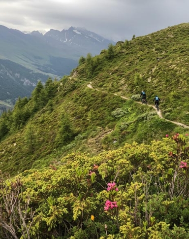 Shuttles | Mittel wallis