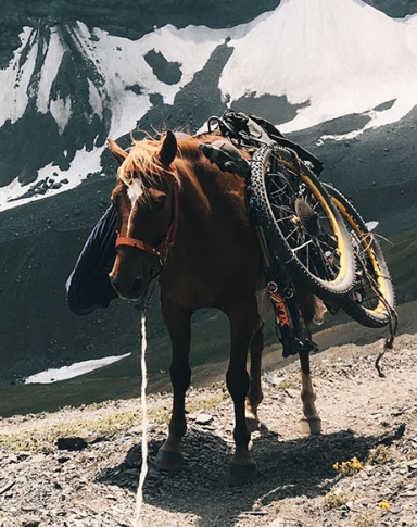 Mountainbike trip in Georgia by horse shuttles