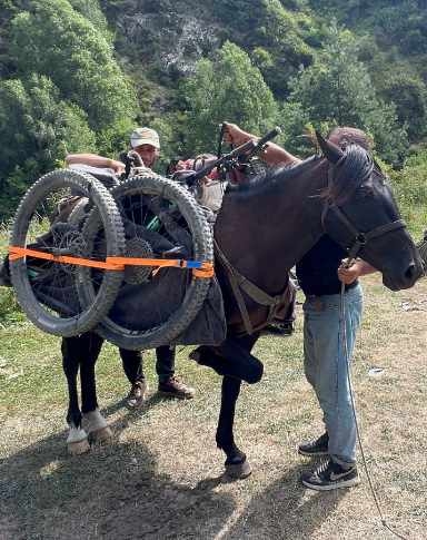 Mountainbike trip in Georgia by horse shuttles